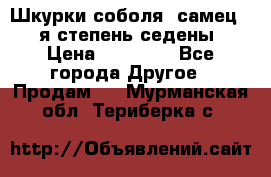 Шкурки соболя (самец) 1-я степень седены › Цена ­ 12 000 - Все города Другое » Продам   . Мурманская обл.,Териберка с.